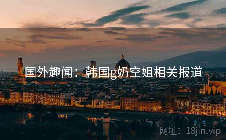 国外趣闻：韩国g奶空姐相关报道