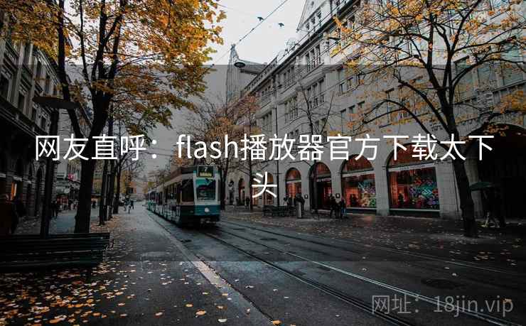 网友直呼：flash播放器官方下载太下头