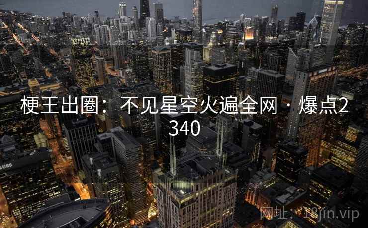 梗王出圈：不见星空火遍全网 · 爆点2340