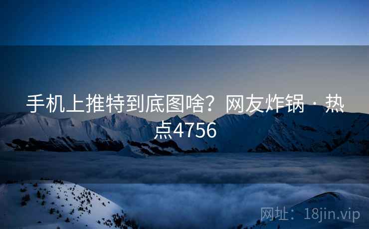 手机上推特到底图啥?网友炸锅 · 热点4756