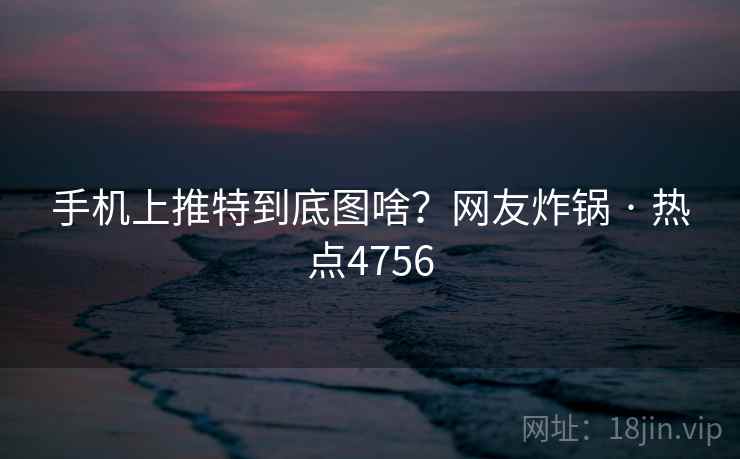 手机上推特到底图啥?网友炸锅 · 热点4756